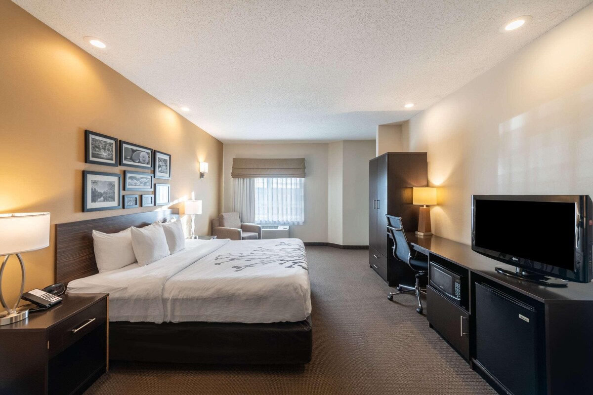 Premium bedding, pillow-top beds, in-room safe, desk