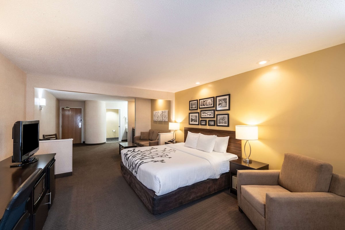 Suite, 1Â King-Bett, Nichtraucher (Upgrade)