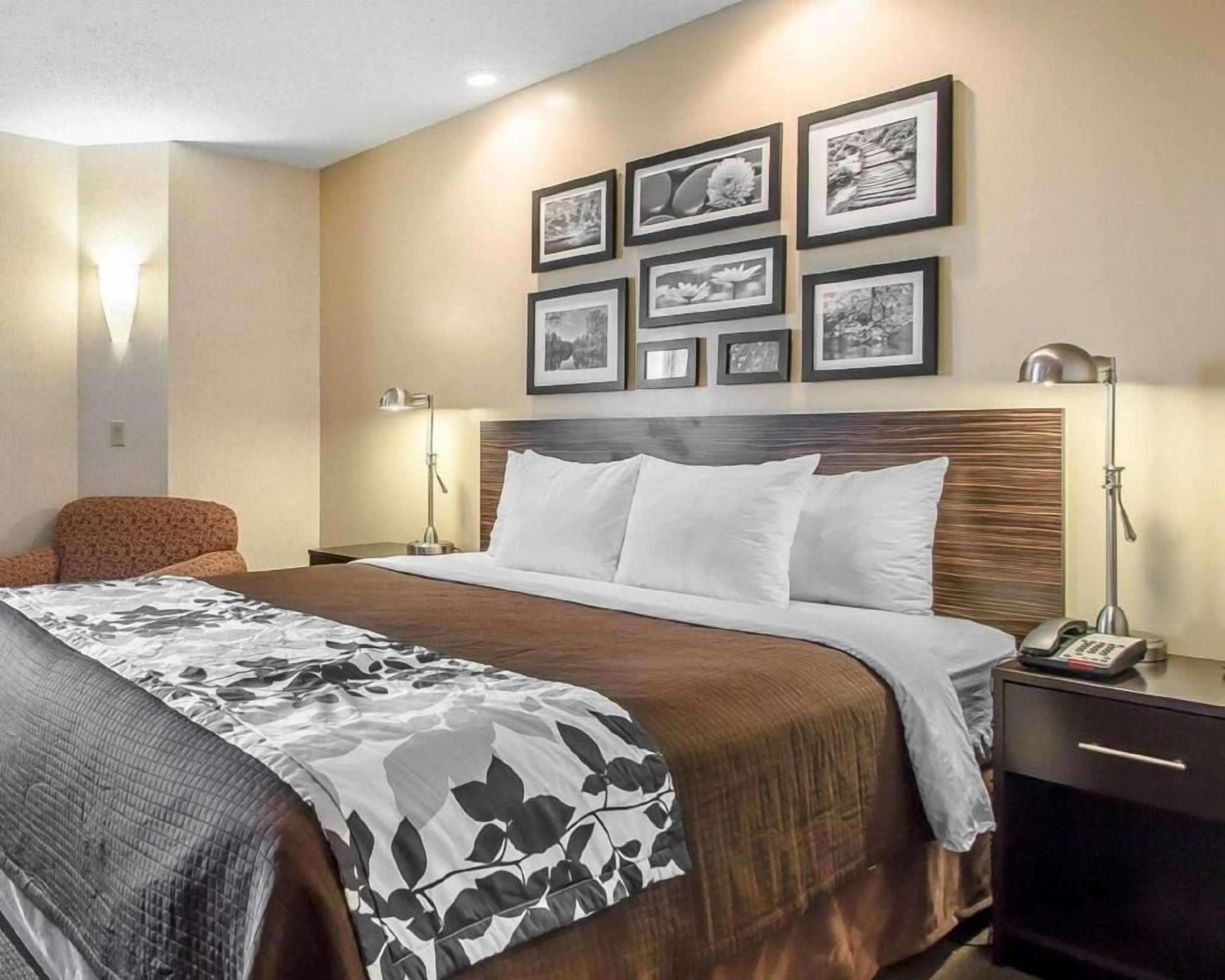 Premium bedding, pillow-top beds, in-room safe, desk