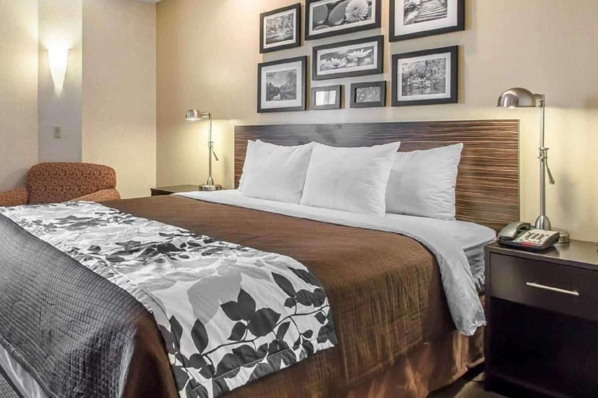 Premium bedding, pillow-top beds, in-room safe, desk