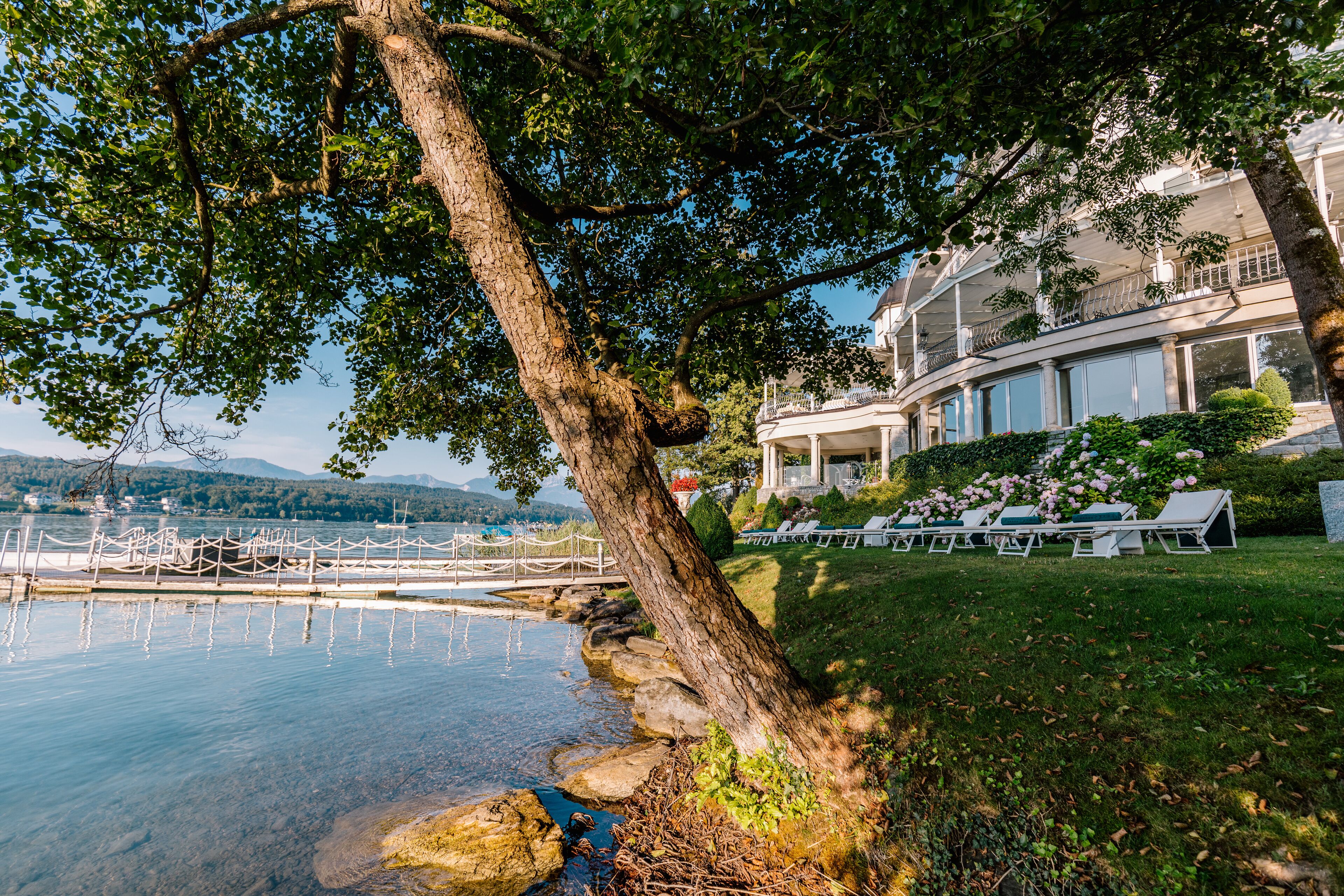 Un hotel junto al lago con vistas despejadas al agua, una terraza bordeada de árboles y sillones de descanso.