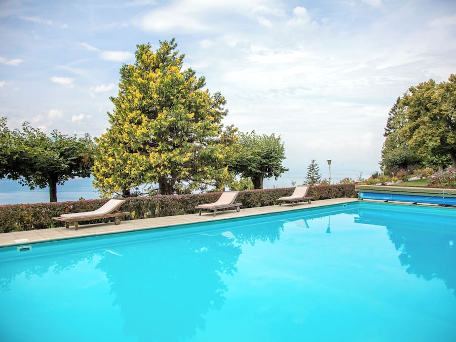 A swimming pool with lounge chairs and a large tree in the background.