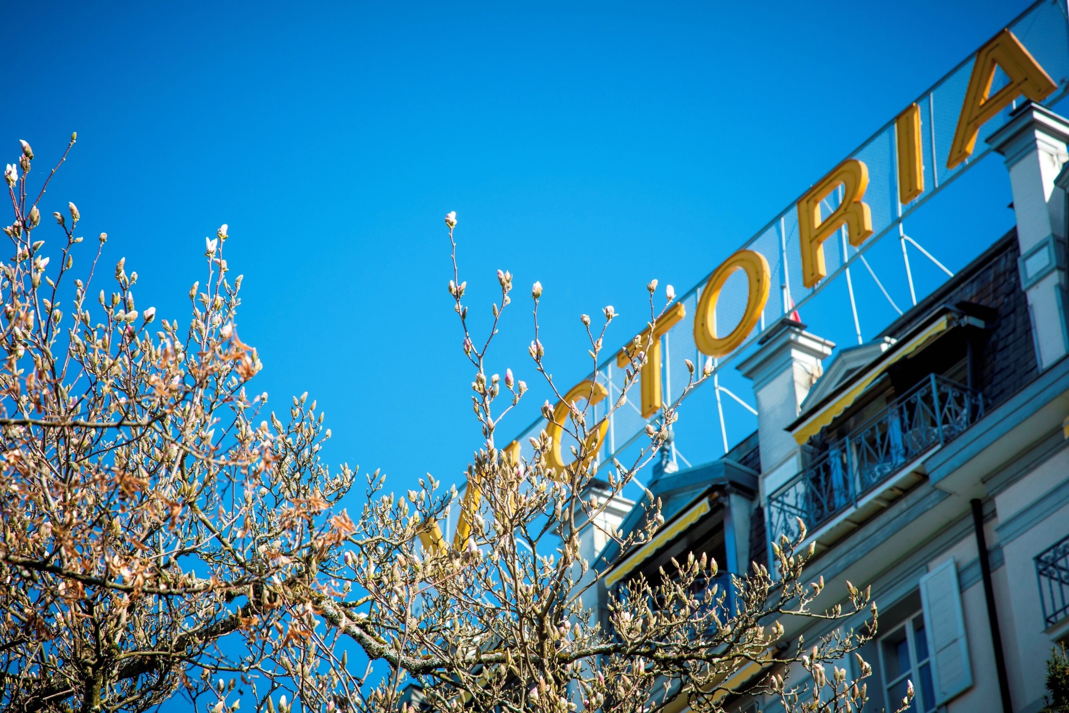 Foto - Hotel Victoria Glion