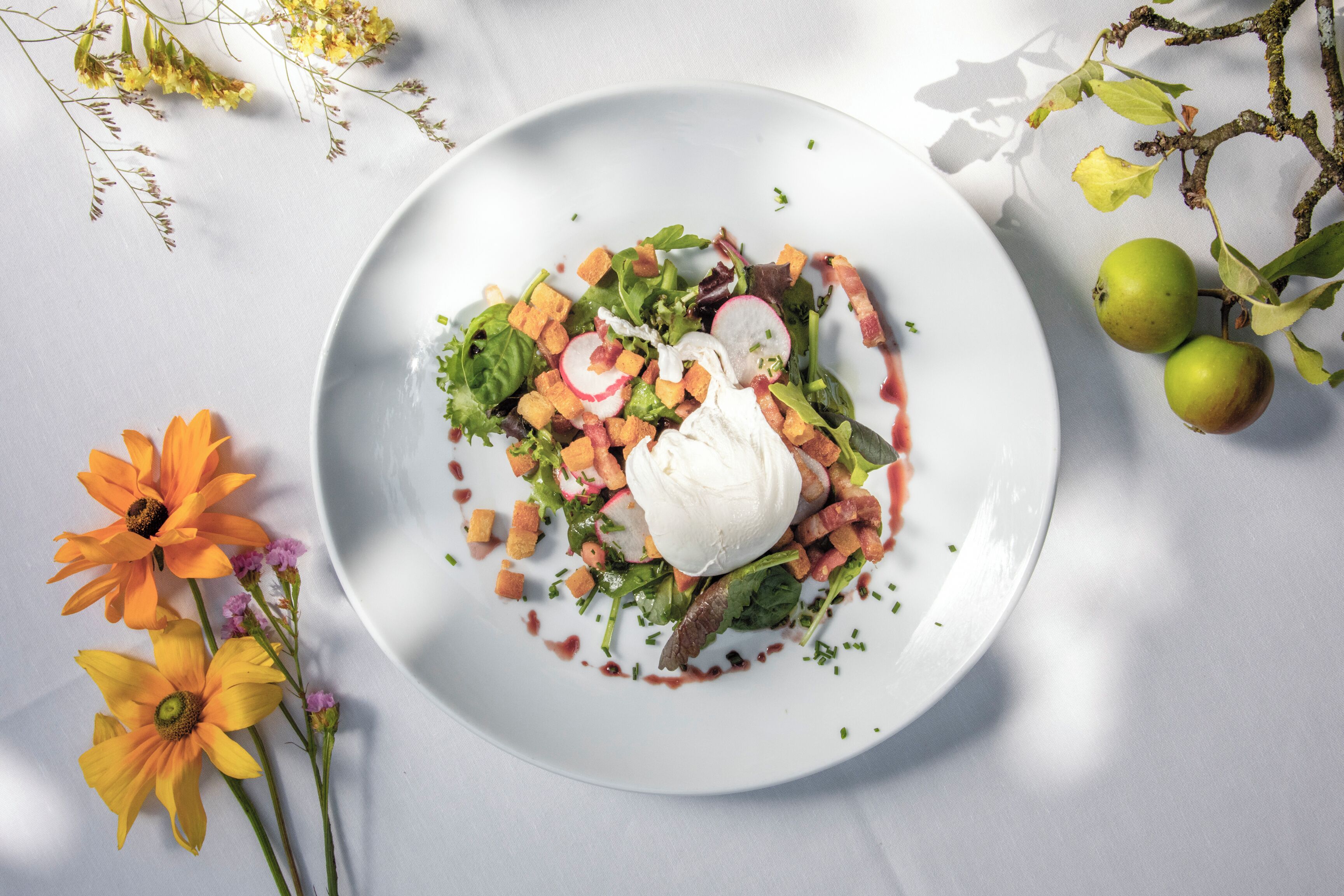 Ein weißer Teller mit Salat, darunter Blattsalat, Radieschen und Croutons, garniert mit einem Klecks Sahne und einem Soßenröllchen.