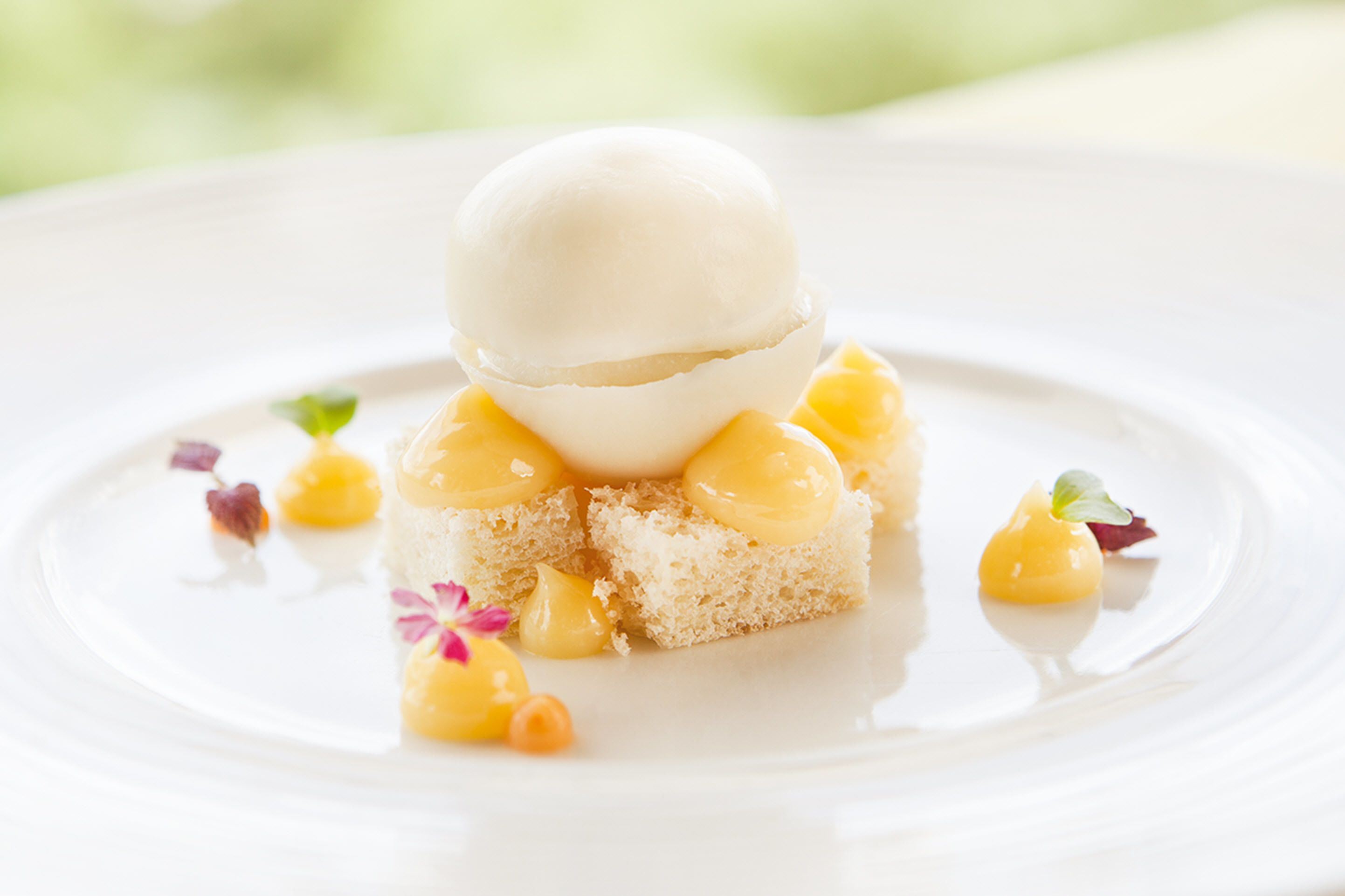 A dessert with a scoop of ice cream on top of a slice of cake, garnished with small yellow fruits and a flower.