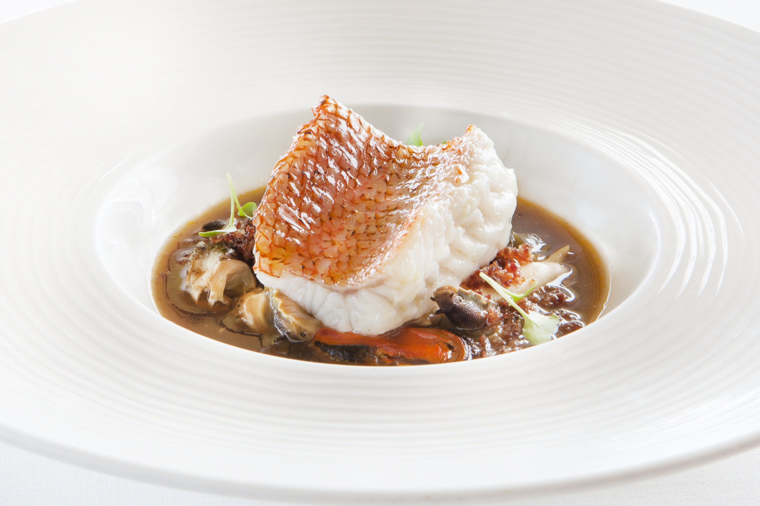 A white plate with a fish fillet, mushrooms, and a sauce.