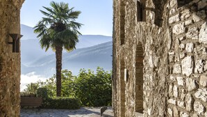 An arched stone doorway leading to a cobblestone path with a palm tree and mountains in the background.