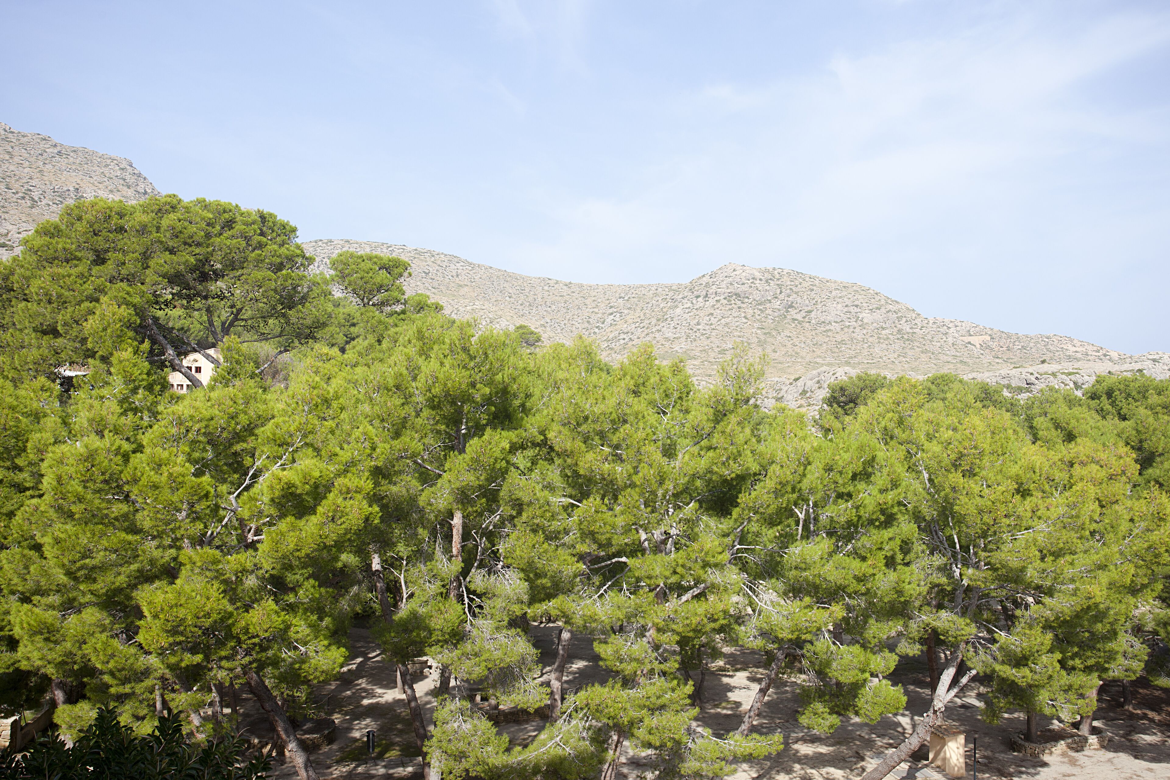 Foto - Hotel Cala Sant Vicenç - Adults Only