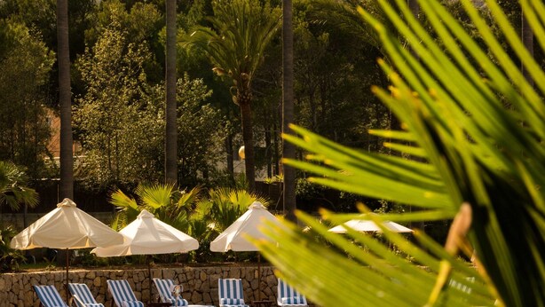 A swimming pool with lounge chairs and umbrellas, surrounded by palm trees and a mountain in the background.