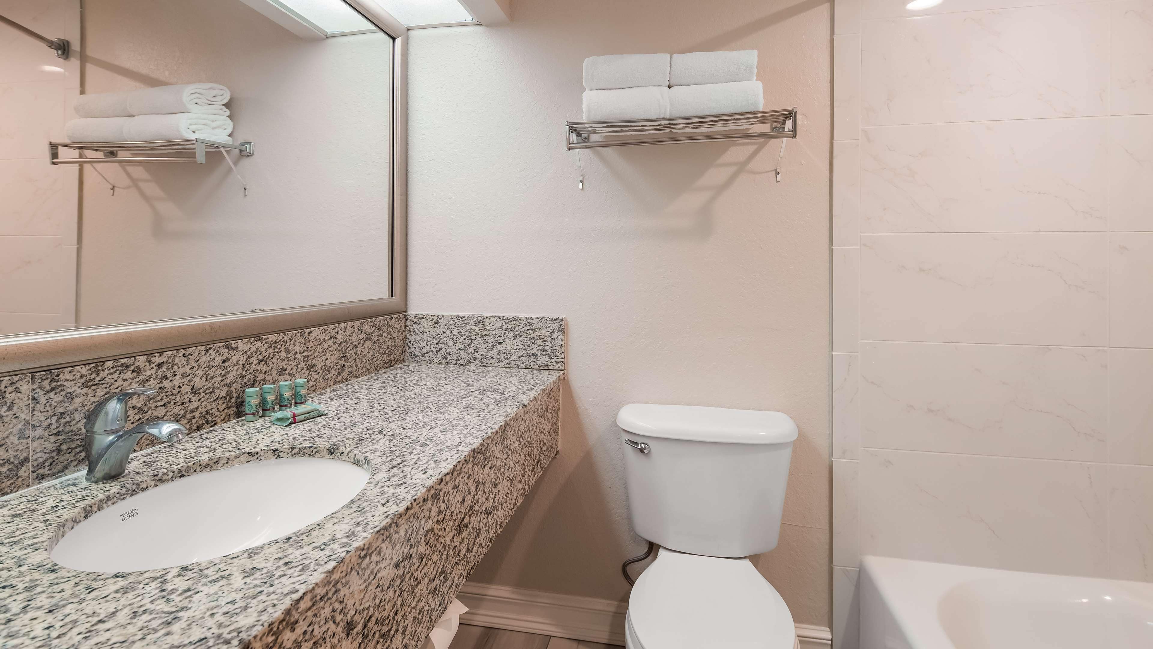 Une salle de bain avec un lavabo à vasque en granit, des toilettes et un miroir.