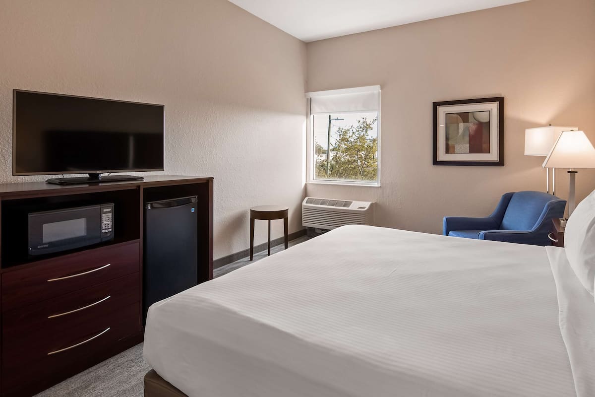 Una habitación de hotel con cama, escritorio con televisor, microondas, calefacción, silla y ventana con vista a árboles.
