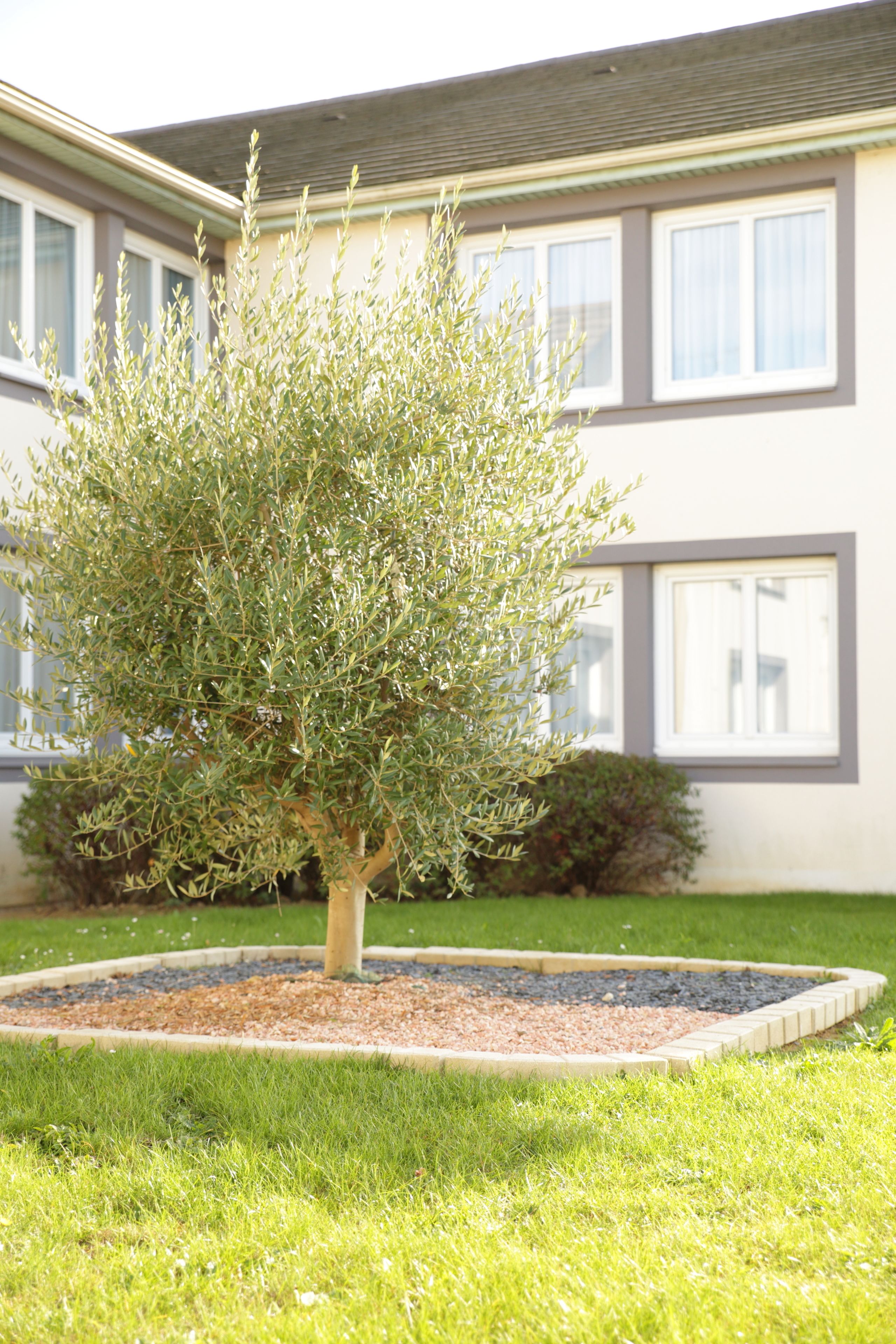 Foto - The Originals City, Hôtel La Terrasse, Tours Nord