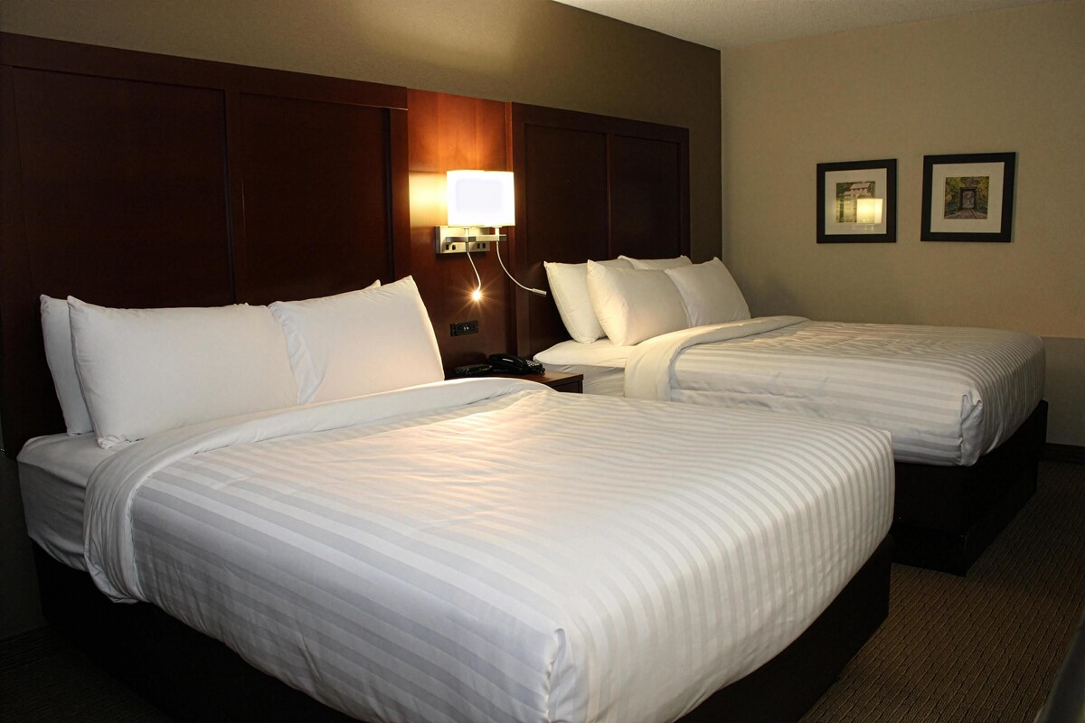 Premium bedding, desk, laptop workspace, blackout drapes
