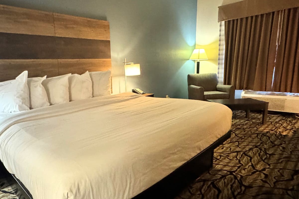 Business Room, 1 King Bed, Non Smoking
