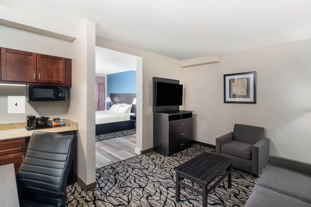 Studio Suite, 1 King Bed, Non Smoking | Individually furnished, desk, blackout drapes, iron/ironing board