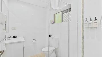 A modern bathroom with a glass shower enclosure, a white toilet, and a sink with a mirror.