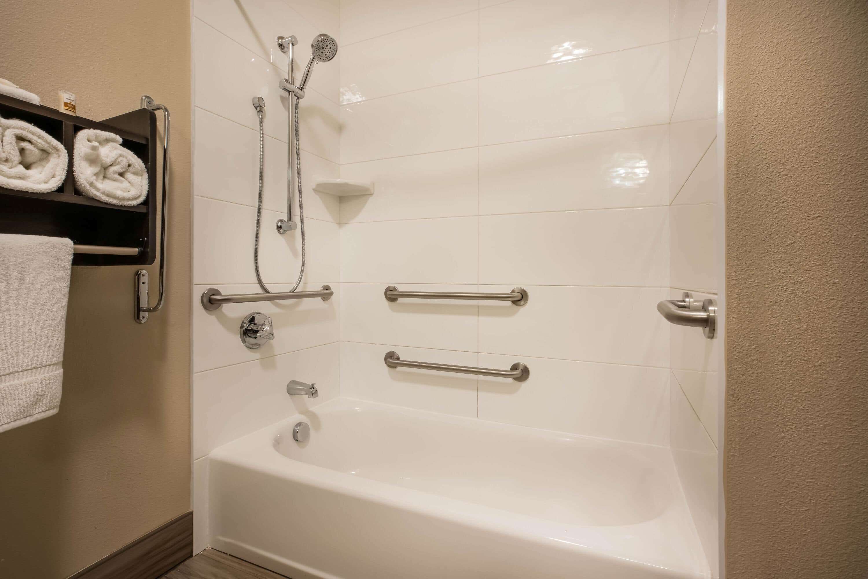 room, 1 king bed, accessible, park view (mobility accessible) | bathroom | eco-friendly toiletries, hair dryer, towels, soap