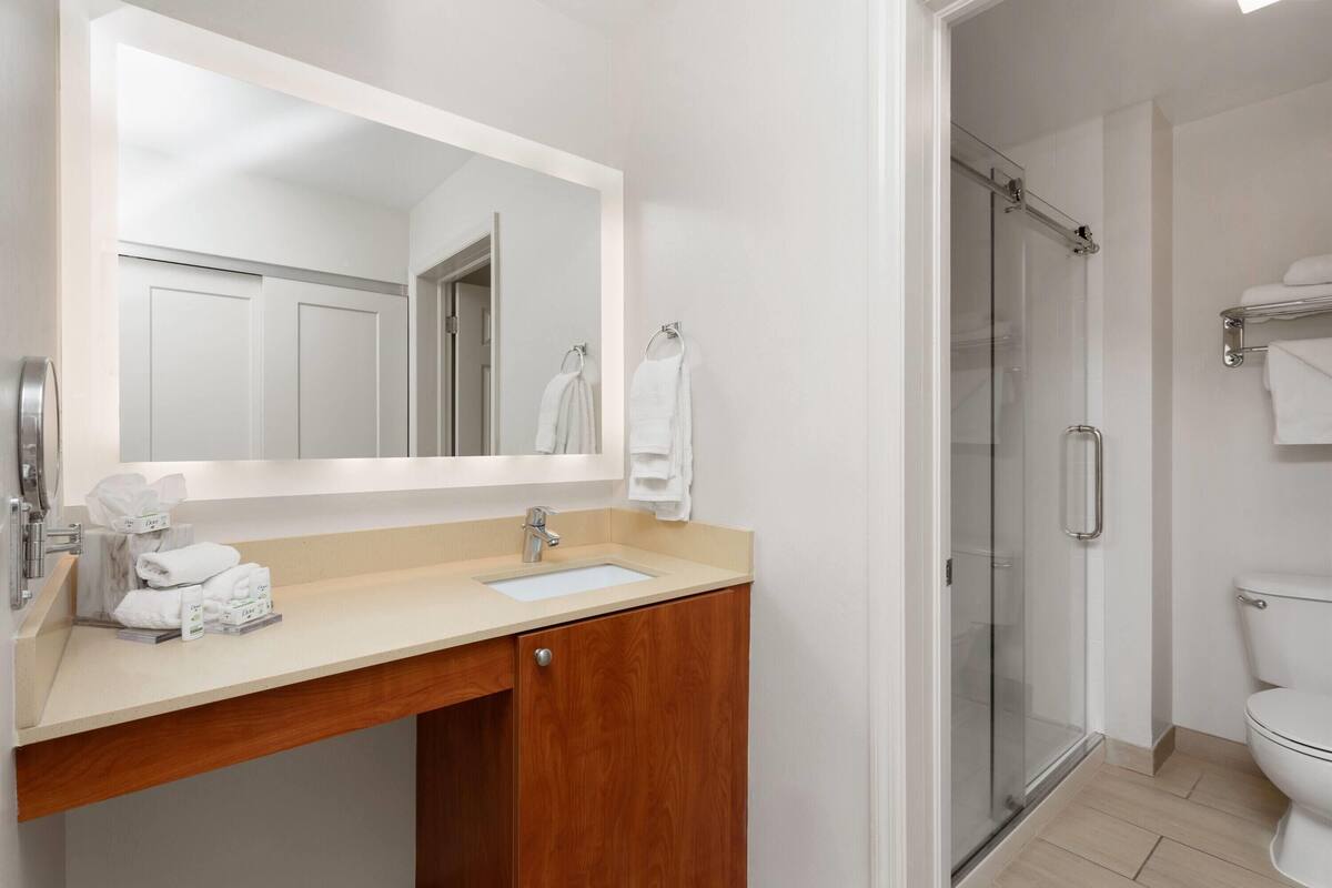 suite, 1 king bed, non smoking (walk-in shower) | bathroom | combined shower/bathtub, free toiletries, hair dryer, towels