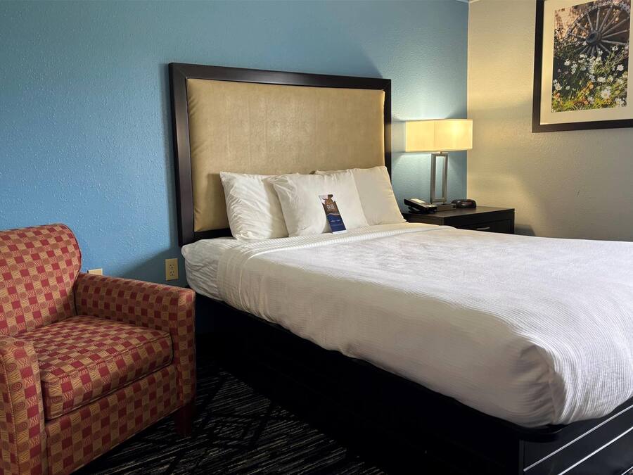 A hotel room with a bed, a red patterned armchair, a nightstand with a lamp, and a framed picture on the wall.