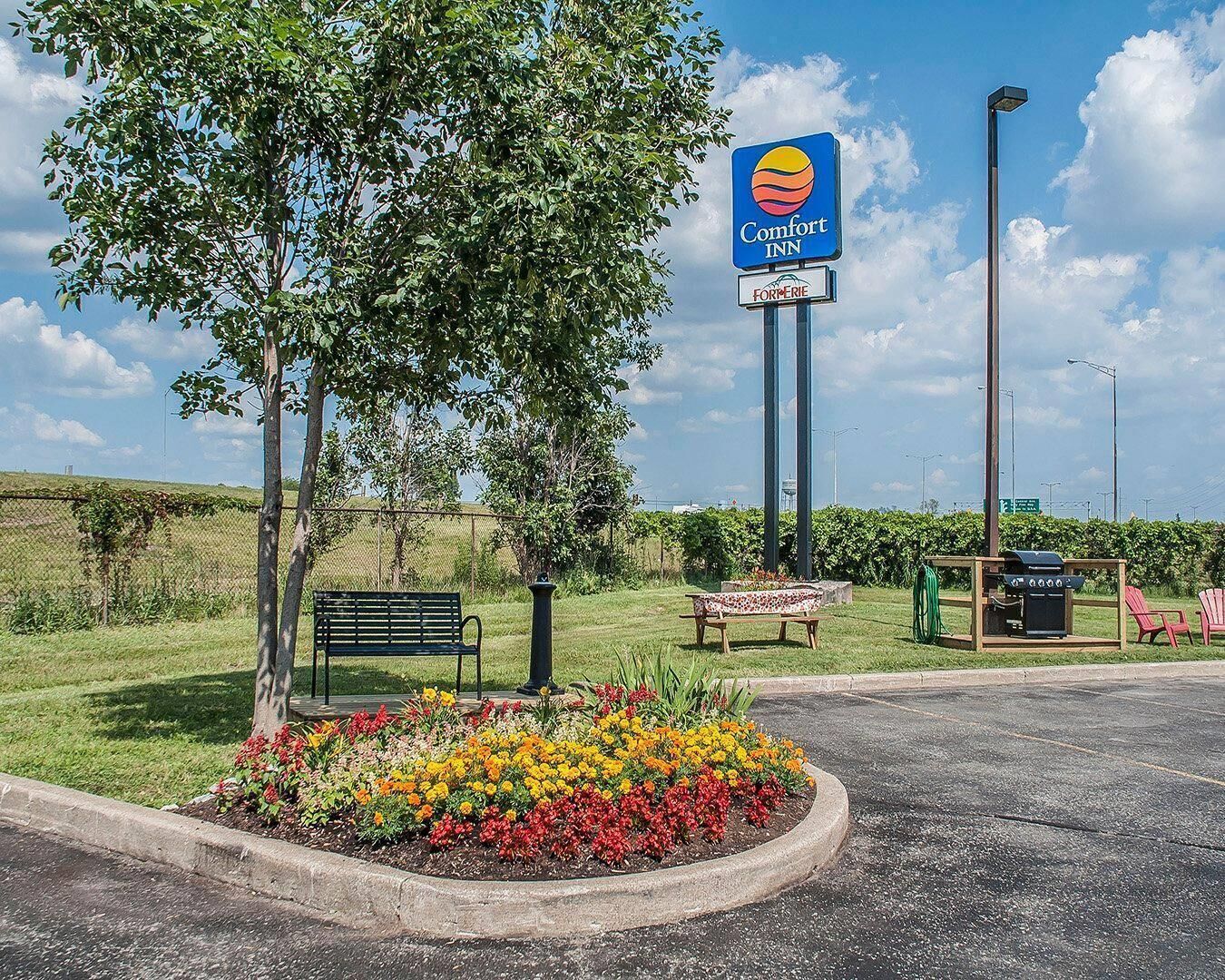 Foto - Comfort Inn