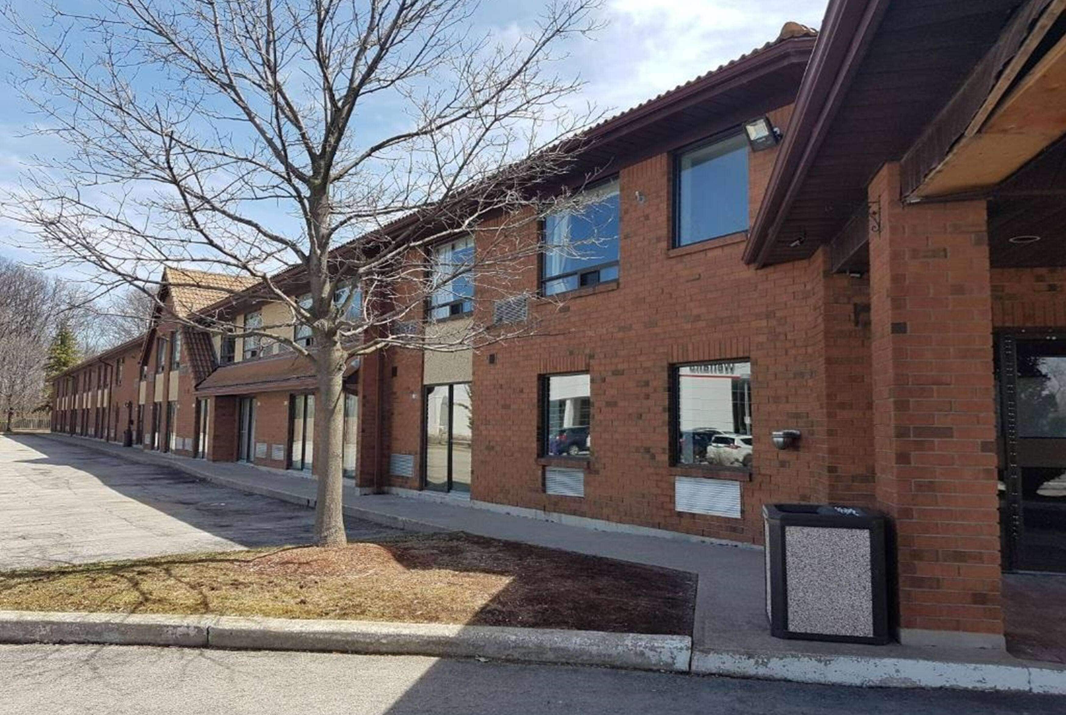 A row of brick buildings with large windows, a tree in the foreground, and a clear sky.