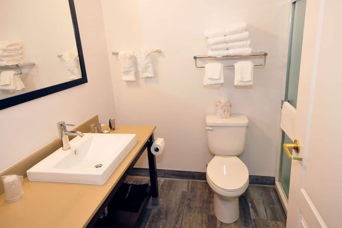 Combined shower/tub, free toiletries, hair dryer, towels