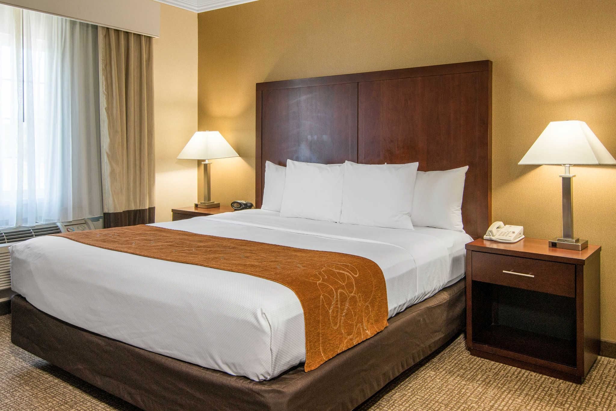 A hotel room with a large bed, two bedside tables with lamps, a telephone, and a brown throw blanket.