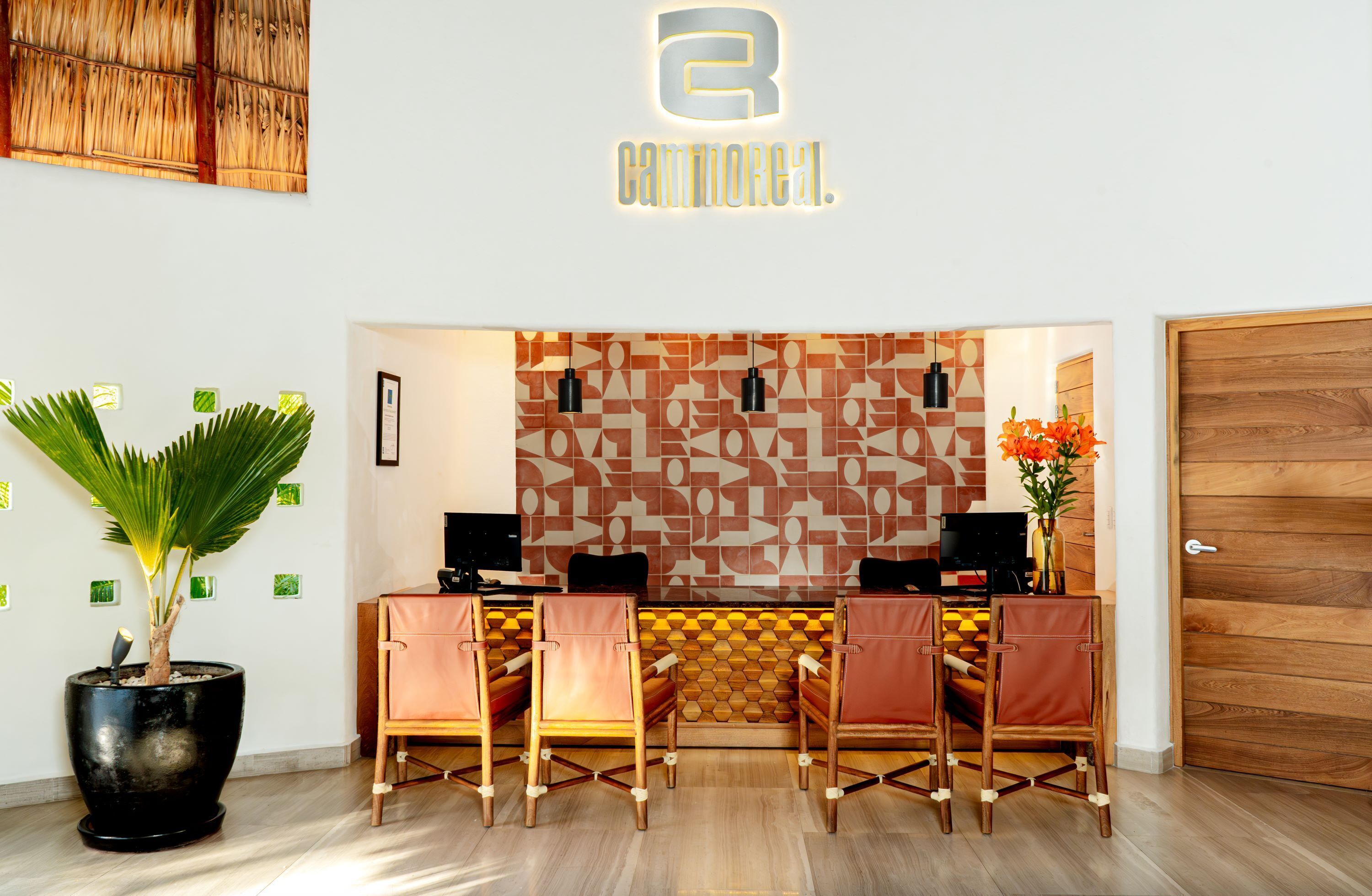 A reception area with a modern design, featuring a geometric patterned wall, a potted plant, and a wooden door.
