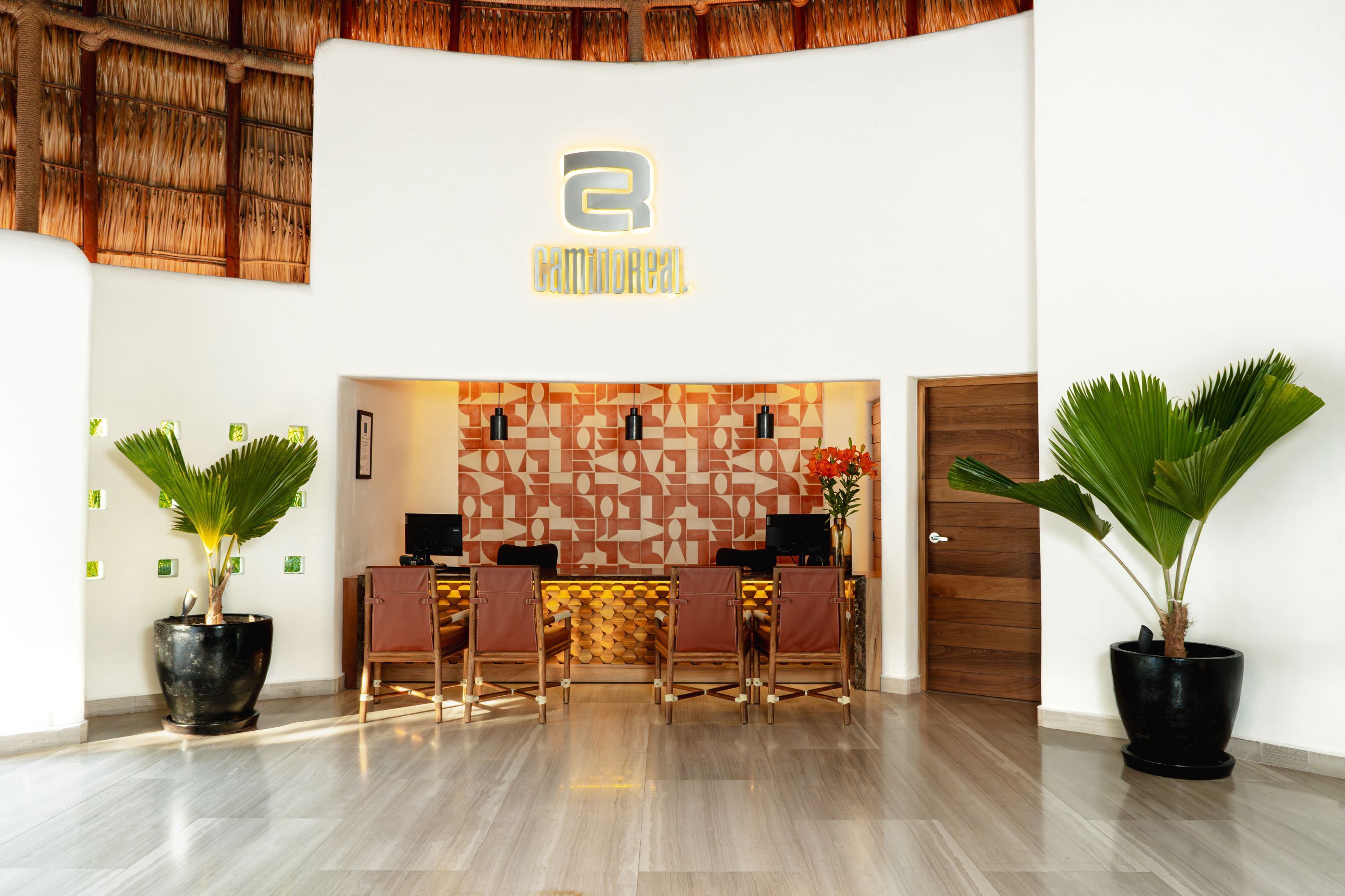 A reception area with a geometric wall design, a reception desk, and two potted plants.