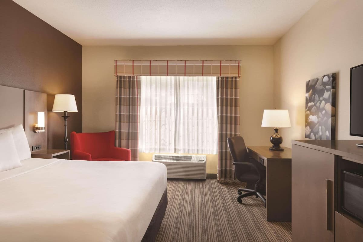 Room, 1 King Bed, Non Smoking