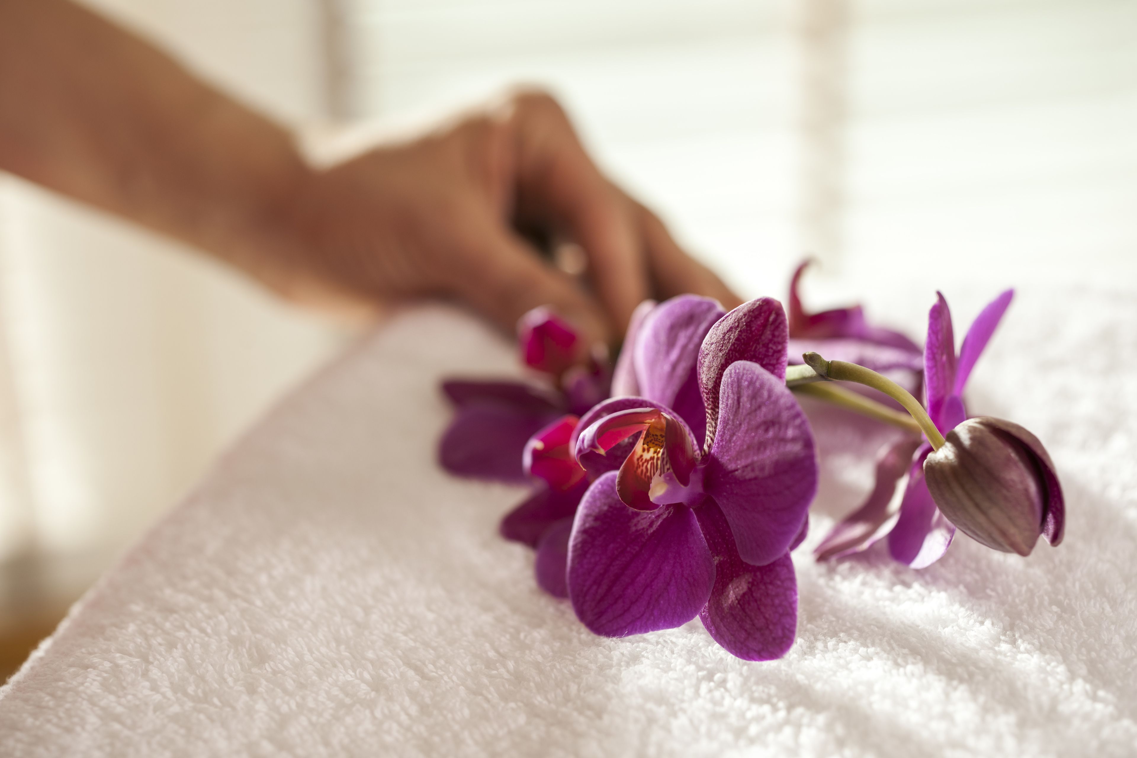 sauna, steam room, body treatments, aromatherapy, hot stone massages