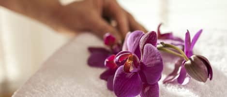 A hand holding purple flowers on a white textured surface.