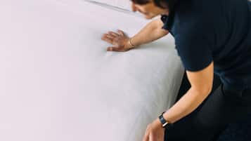 Cleanliness standards