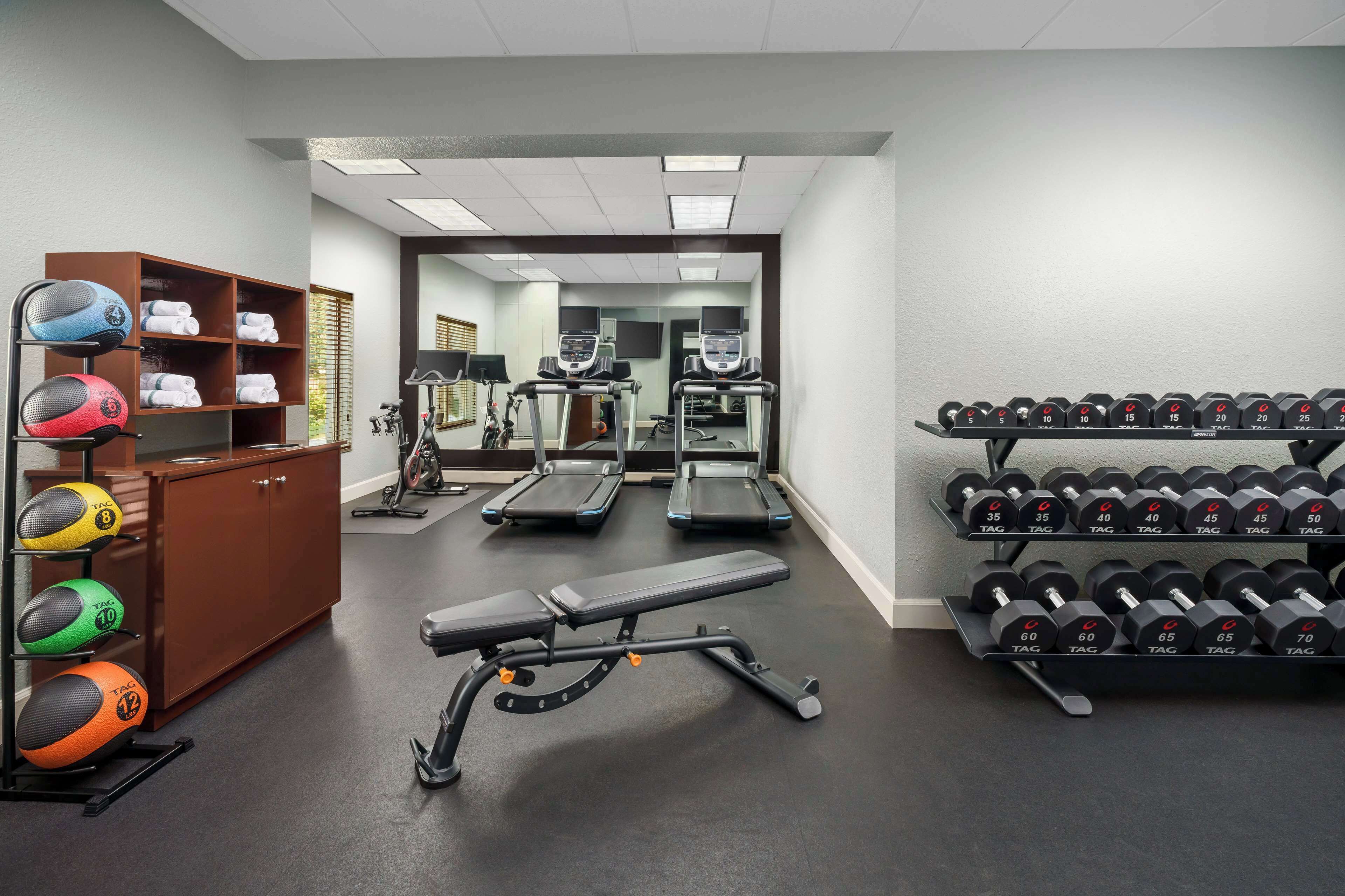 A gym with treadmills, a bench, and a rack of dumbbells.