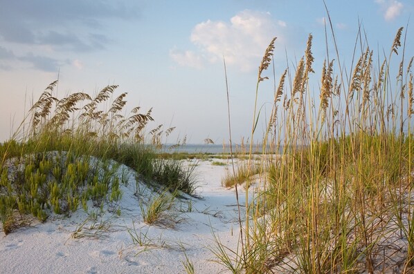 Beach - Holiday Inn Express & Suites Naples North - Bonita Springs by IHG (Bonita Springs)