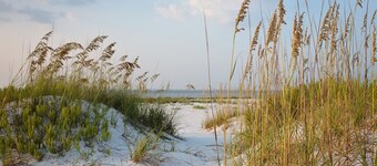 Holiday Inn Express & Suites Naples North - Bonita Springs by IHG