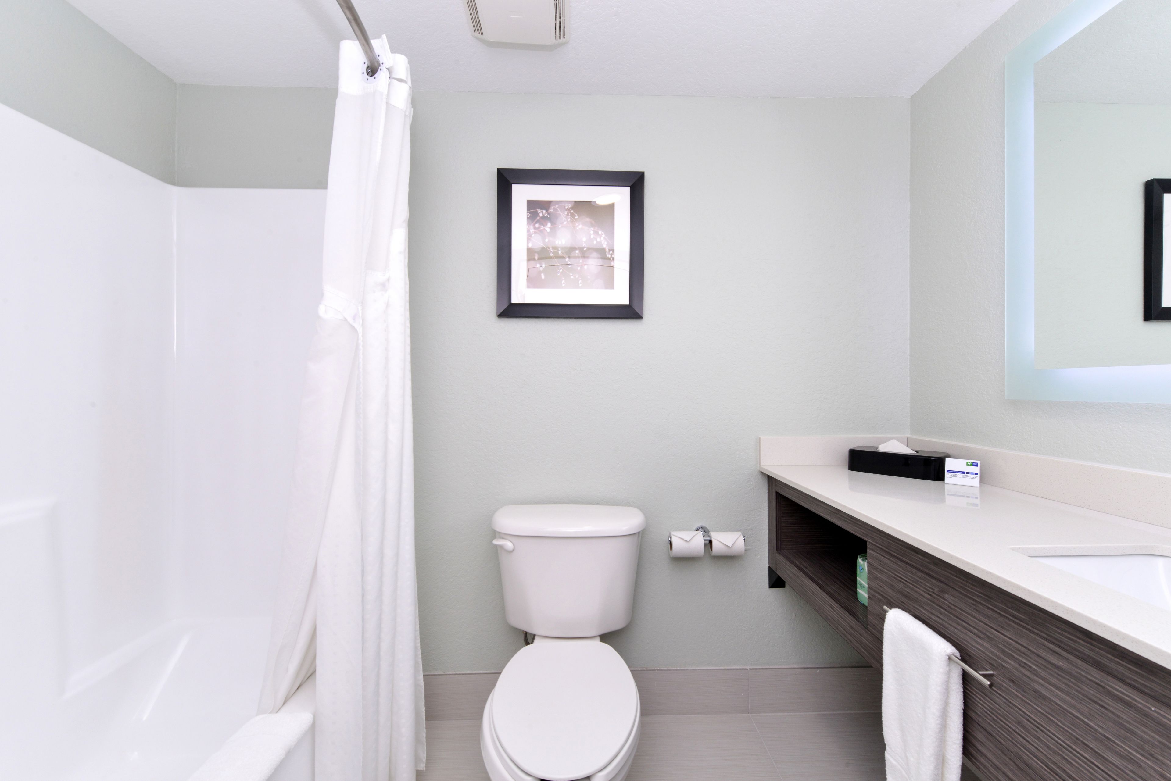 Une salle de bain moderne avec des toilettes blanches, un rideau de douche, un tableau encadré au mur et un meuble-lavabo avec un miroir.