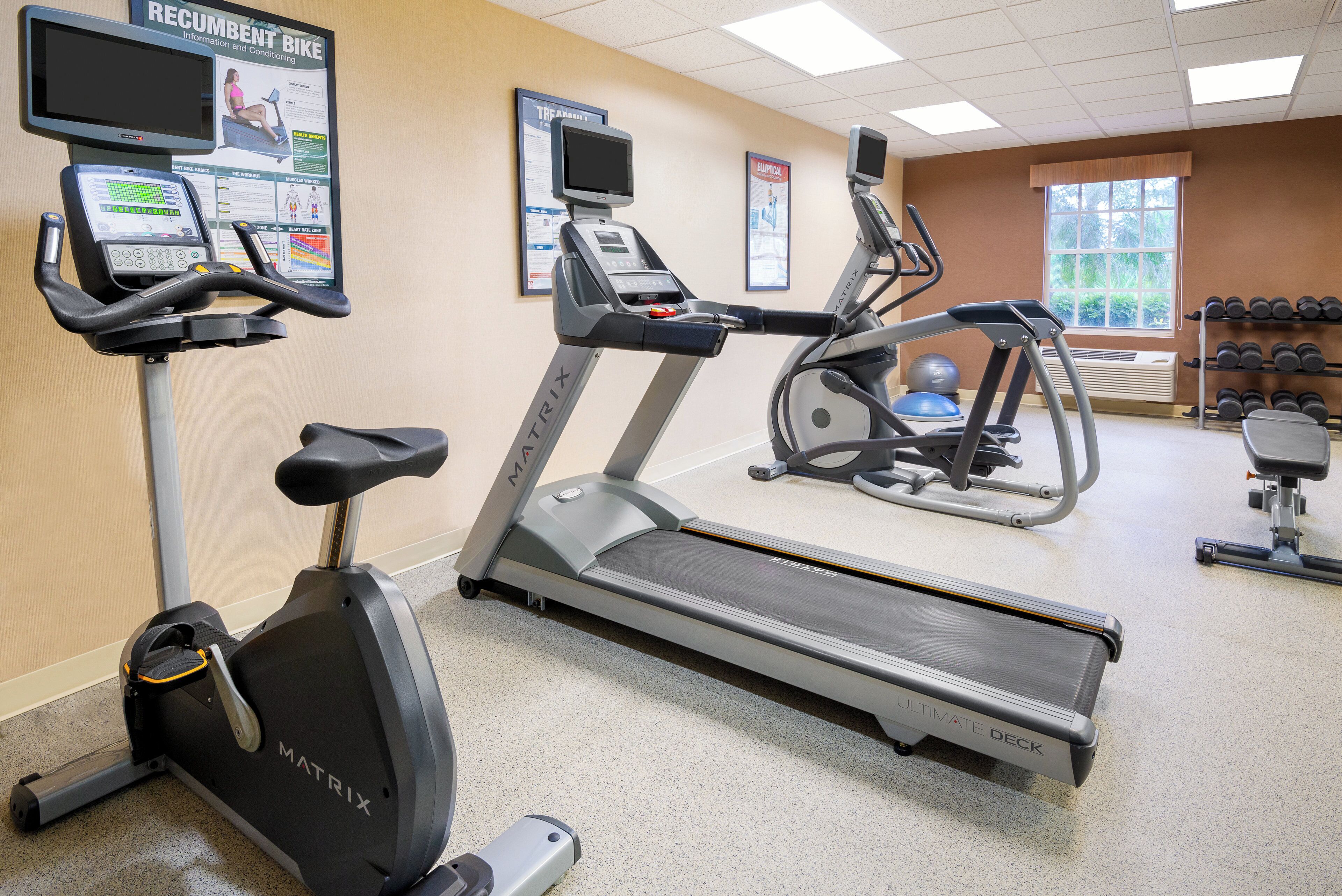 Ein Fitnessraum mit Laufbändern, Crosstrainern und Ergometer.