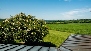 Vista de un campo verde y un árbol con flores blancas, con un techo metálico en primer plano.