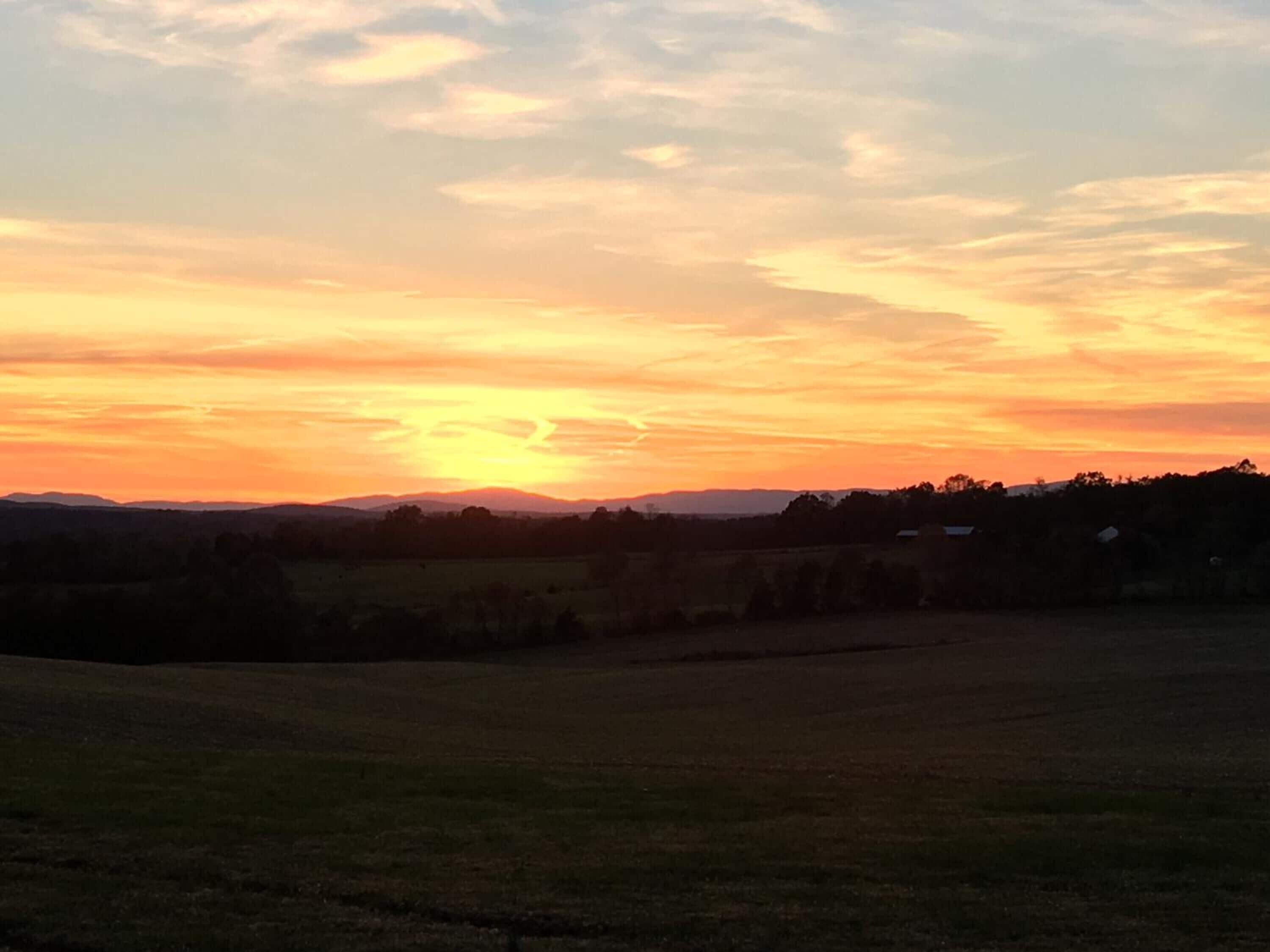 A wide-open field with a sunset in the distance and a line of trees in the foreground.