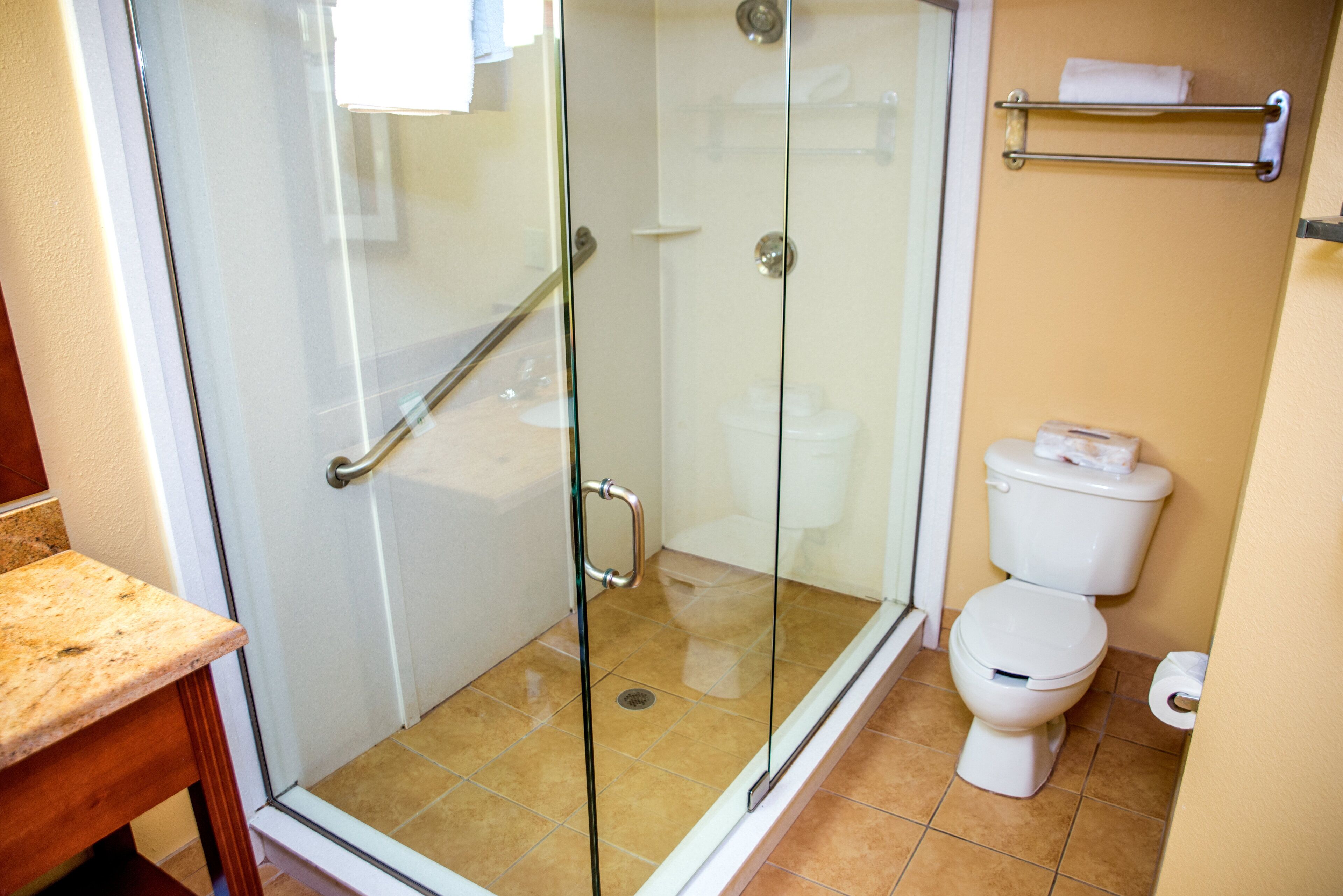A bathroom with a glass-enclosed shower, a toilet, and a sink with a countertop.