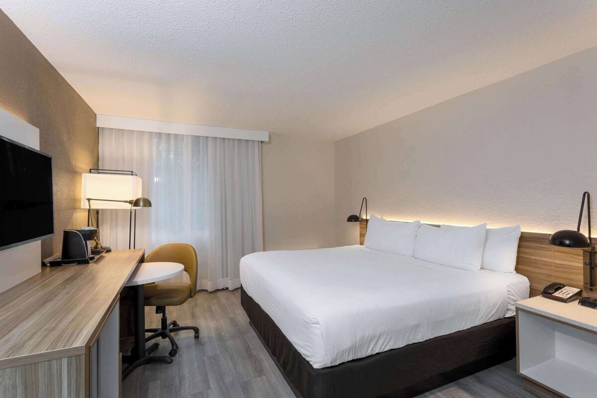 Une chambre d’hôtel équipée d’un lit, d’un bureau, d’une chaise, d’une télévision, d’une lampe et d’une table de chevet.