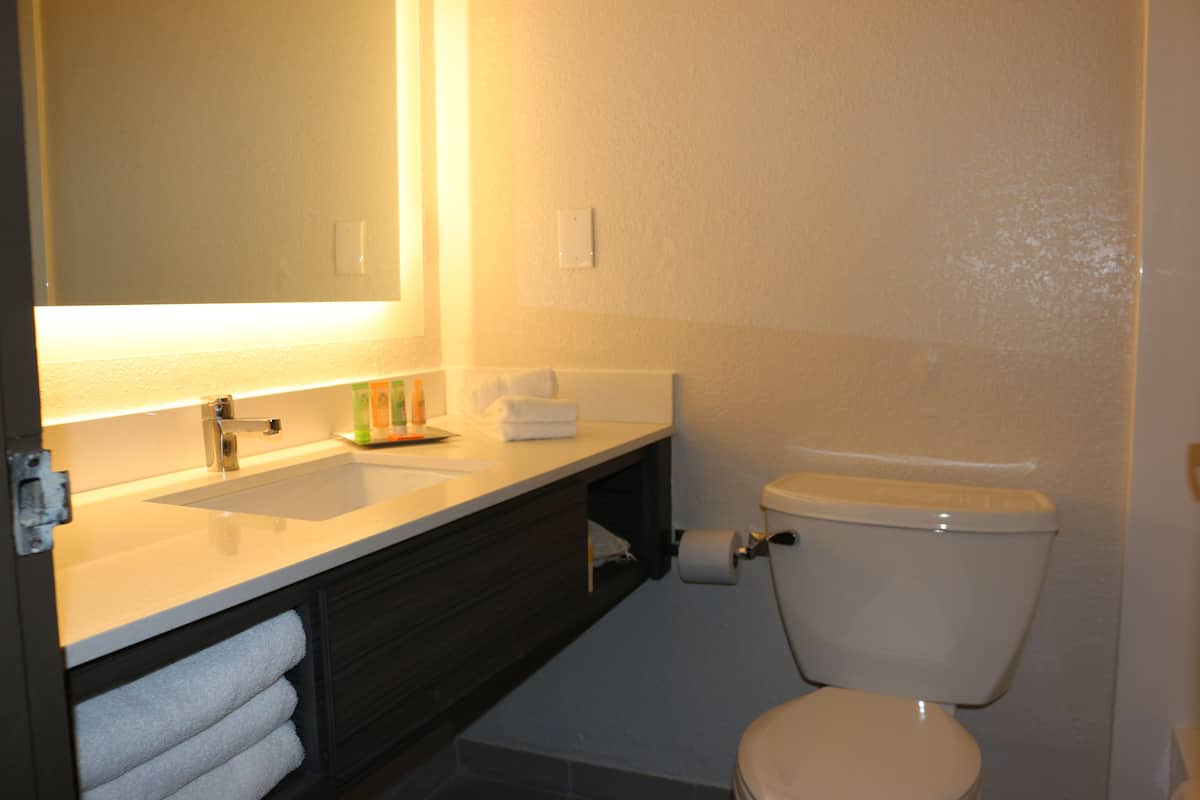 combined shower/bathtub, free toiletries, hair dryer, towels