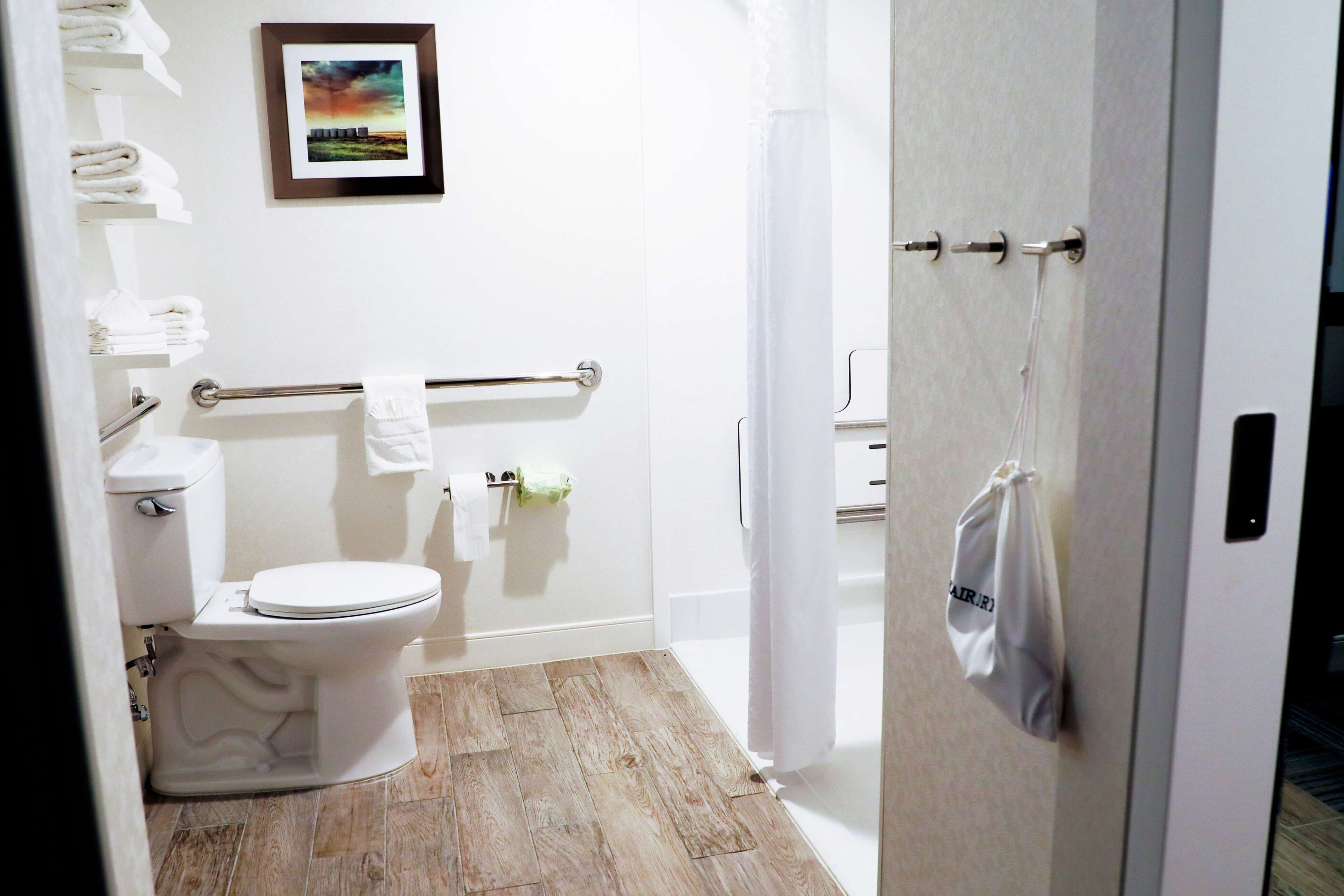 room, 1 king bed, accessible | bathroom shower