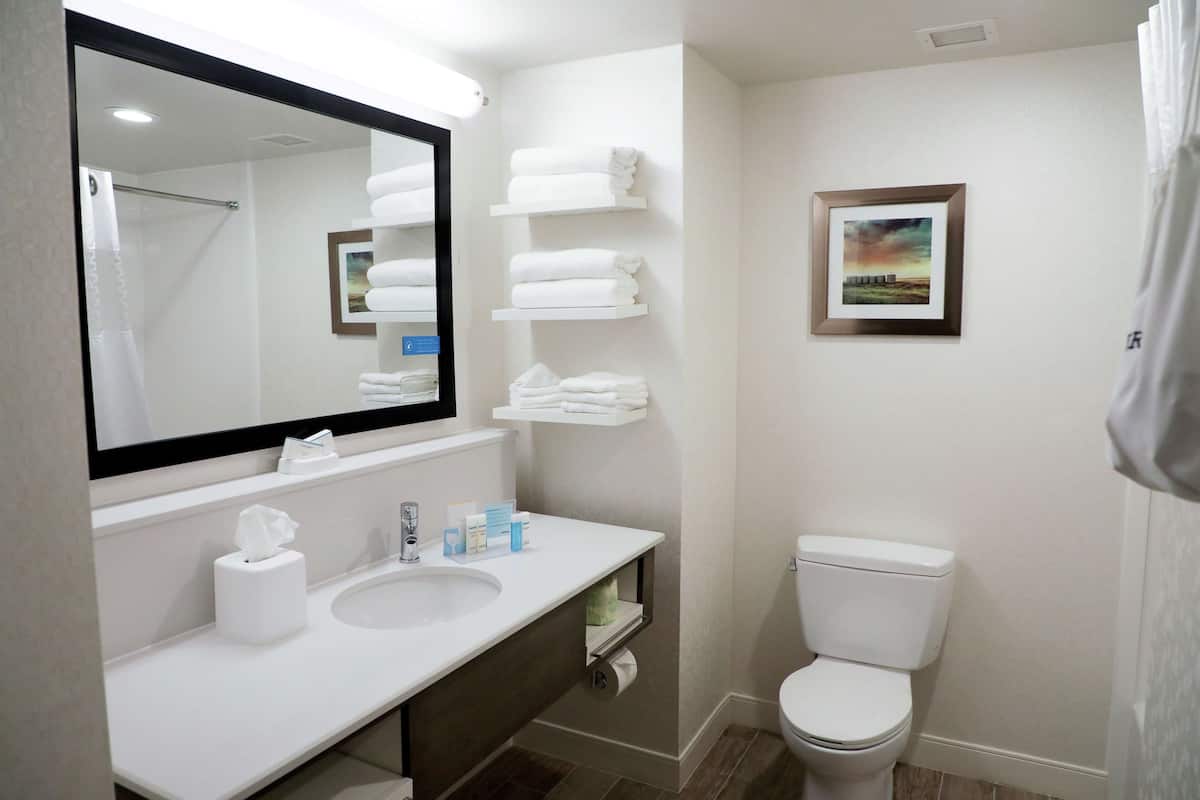 room, 1 king bed (study) | bathroom | hair dryer, towels