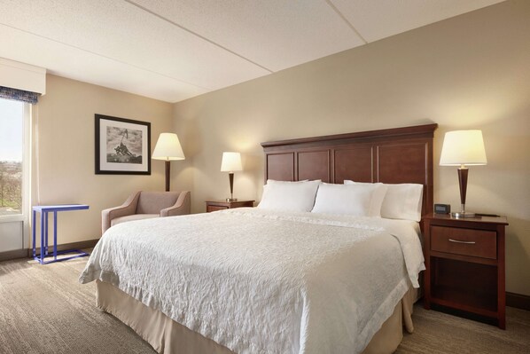 A hotel room with a large bed, two bedside tables with lamps, a chair, a framed picture on the wall, and a window with a view.