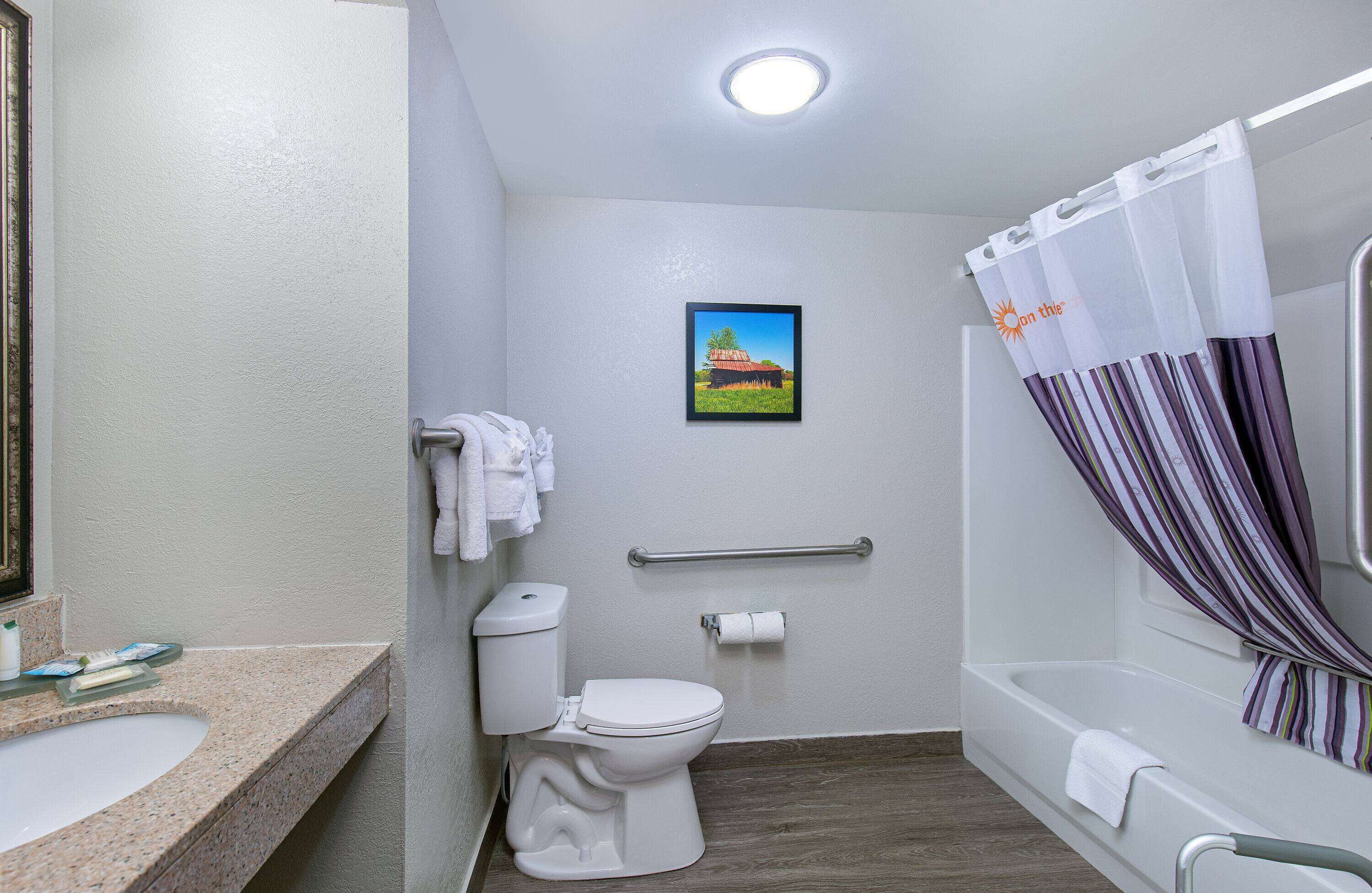 room, 1 king bed, accessible, non smoking (mobility) | accessible bathroom