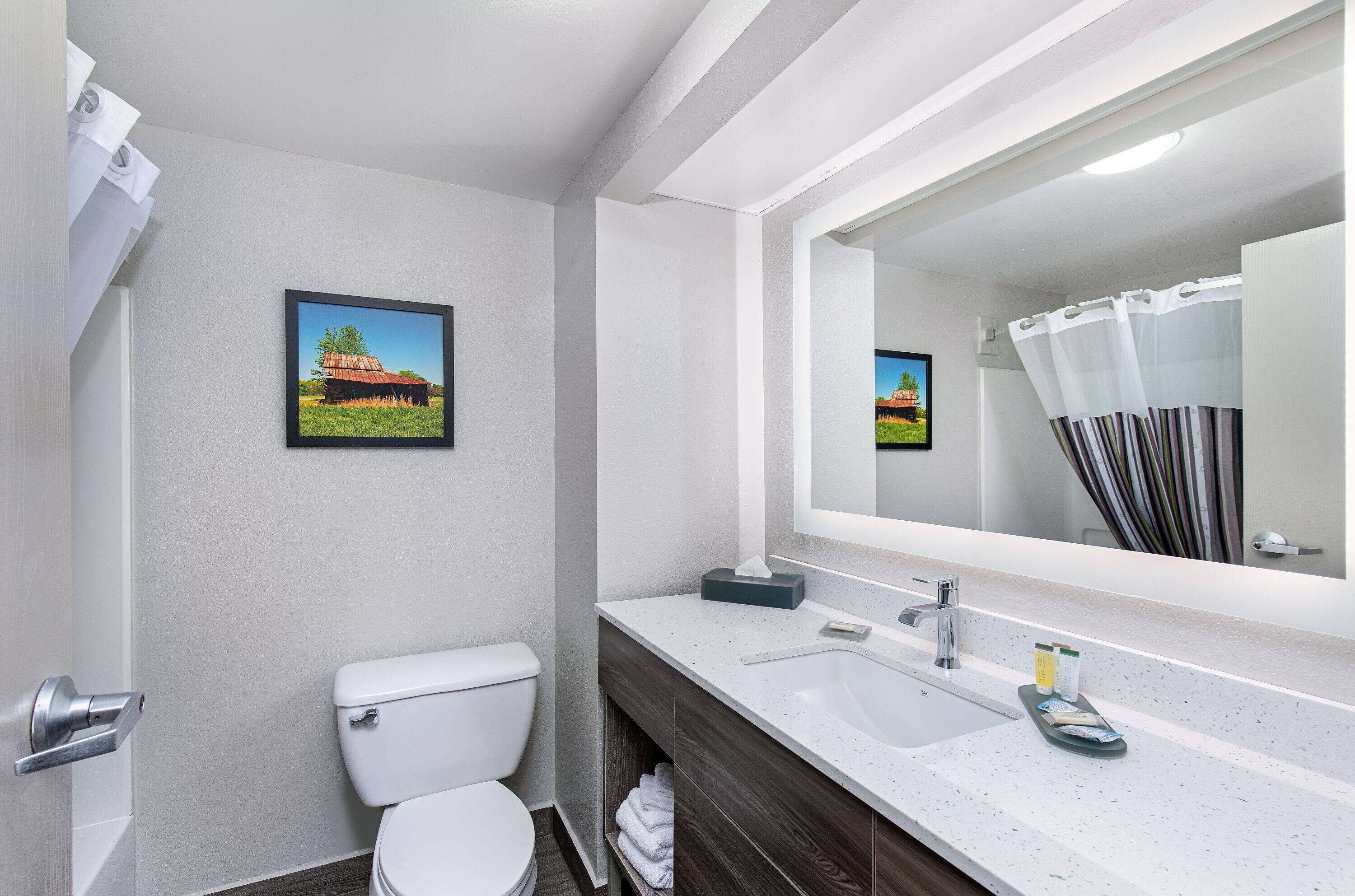 combined shower/bathtub, free toiletries, hair dryer, towels