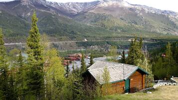 Cabin | View from room