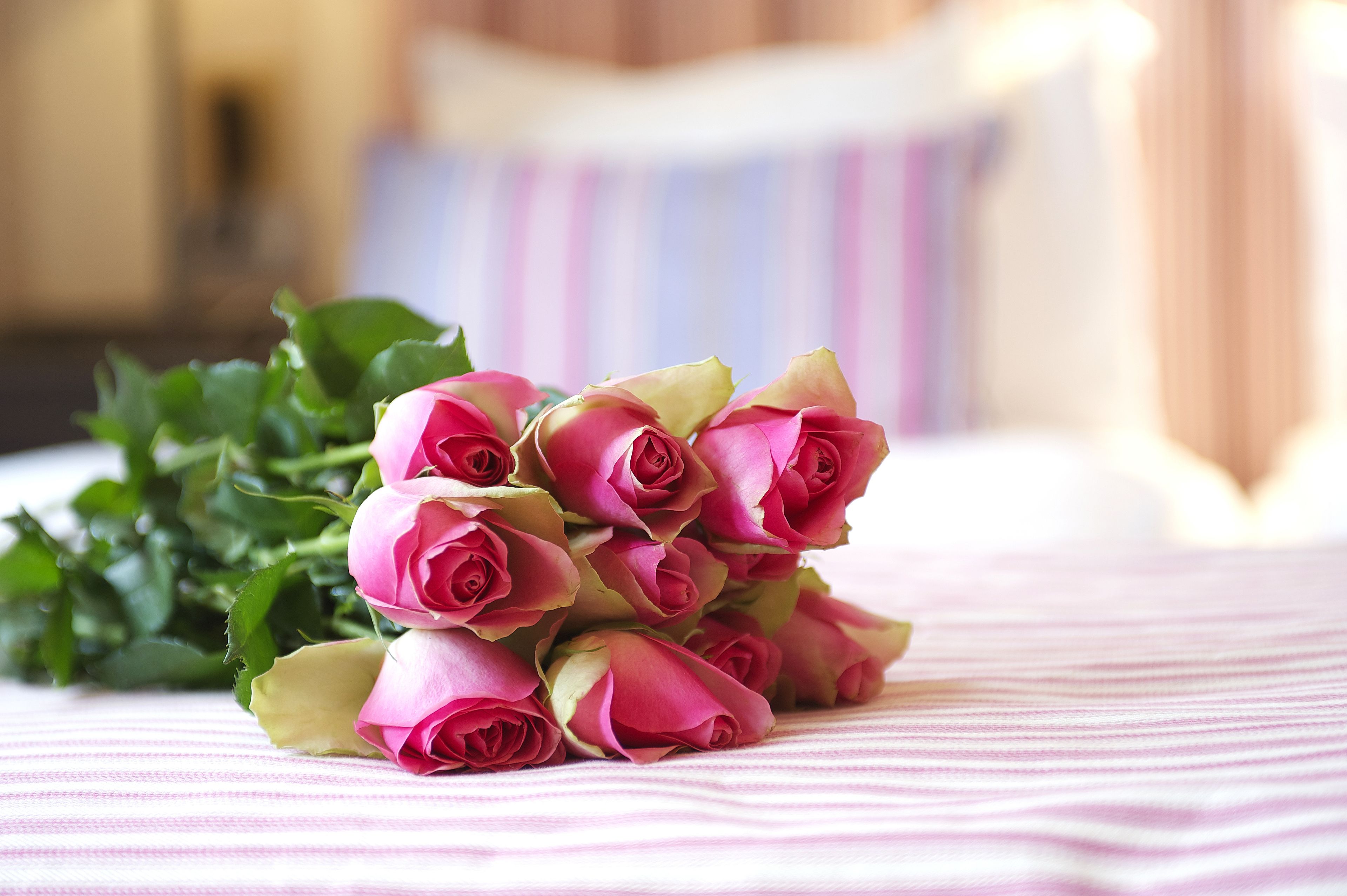 deluxe room, 1 queen bed, non smoking, bathtub (deluxe bath room) | 1 bedroom, individually decorated, iron/ironing board, free wifi